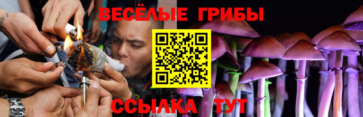 Псилоцибиновые грибы Magic Shrooms  Вход с VPN  Ялуторовск 